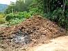 11-08 369 The Elephant Muck Heap.jpg